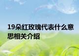 19朵红玫瑰代表什么意思相关介绍