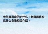 老鼠最喜欢的吃什么（老鼠最喜欢吃什么食物相关介绍）