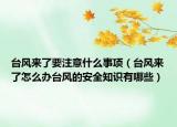 台风来了要注意什么事项（台风来了怎么办台风的安全知识有哪些）