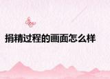 捐精过程的画面怎么样