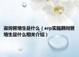 咨询管培生是什么（erp实施顾问管培生是什么相关介绍）
