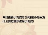 今日更新小剥皮怎么死的(小指头为什么要把珊莎送给小剥皮)