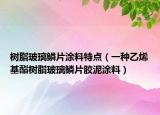 树脂玻璃鳞片涂料特点（一种乙烯基酯树脂玻璃鳞片胶泥涂料）