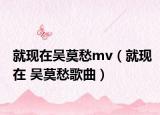 就现在吴莫愁mv（就现在 吴莫愁歌曲）