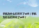 手机为什么打开不了wifi（手机为什么打开不了wifi）