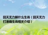 回天无力解什么生肖（回天无力打准确生肖相关介绍）