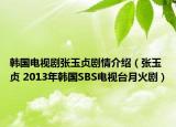 韩国电视剧张玉贞剧情介绍（张玉贞 2013年韩国SBS电视台月火剧）