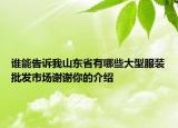 谁能告诉我山东省有哪些大型服装批发市场谢谢你的介绍