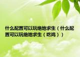 什么配置可以玩绝地求生（什么配置可以玩绝地求生（吃鸡））
