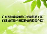 广东省波峰焊维修工学徒招聘（江门波峰焊技术员招聘信息相关介绍）
