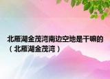 北雁湖金茂湾南边空地是干嘛的（北雁湖金茂湾）