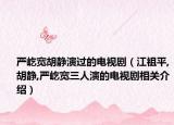 严屹宽胡静演过的电视剧（江祖平,胡静,严屹宽三人演的电视剧相关介绍）