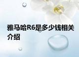 雅马哈R6是多少钱相关介绍