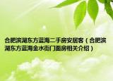 合肥滨湖东方蓝海二手房安居客（合肥滨湖东方蓝海金水街门面房相关介绍）