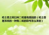 哈士奇之所以叫二哈是有原因的（哈士奇是怎样的一种狗二哈的称号怎么来的）