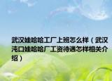 武汉娃哈哈工厂上班怎么样（武汉沌口娃哈哈厂工资待遇怎样相关介绍）