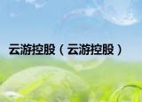 云游控股（云游控股）