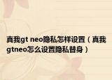 真我gt neo隐私怎样设置（真我gtneo怎么设置隐私替身）