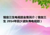 情定三生电视剧全集简介（情定三生 2014年田少波执导电视剧）
