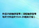 外径25的轴承型号（滚轮轴承型号与尺寸外径尺寸23-25相关介绍）