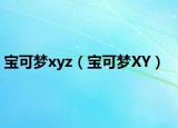 宝可梦xyz（宝可梦XY）
