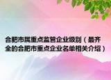 合肥市属重点监管企业级别（最齐全的合肥市重点企业名单相关介绍）