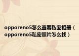 opporeno5怎么查看私密相册（opporeno5私密照片怎么找）