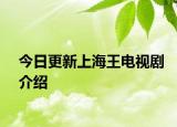 今日更新上海王电视剧介绍