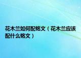 花木兰如何配铭文（花木兰应该配什么铭文）