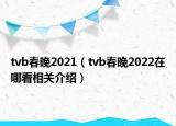 tvb春晚2021（tvb春晚2022在哪看相关介绍）