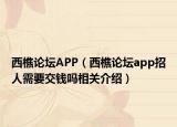西樵论坛APP（西樵论坛app招人需要交钱吗相关介绍）
