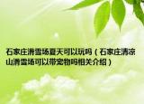 石家庄滑雪场夏天可以玩吗（石家庄清凉山滑雪场可以带宠物吗相关介绍）