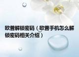 欧普解锁密码（欧普手机怎么解锁密码相关介绍）