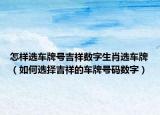 怎样选车牌号吉祥数字生肖选车牌（如何选择吉祥的车牌号码数字）