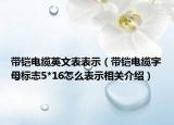 带铠电缆英文表表示（带铠电缆字母标志5*16怎么表示相关介绍）