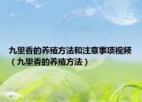 九里香的养殖方法和注意事项视频（九里香的养殖方法）