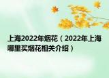 上海2022年烟花（2022年上海哪里买烟花相关介绍）