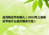 运河桃花节在哪儿（2022年上海桃花节在什么地方相关介绍）
