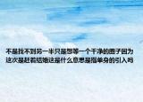 不是找不到另一半只是想等一个干净的圈子因为这次是赶着结婚这是什么意思是指单身的引入吗