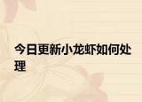 今日更新小龙虾如何处理