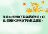 美国dc漫画旗下超级反派团队（白兔 美国DC漫画旗下的超级反派）