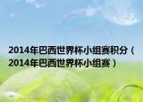 2014年巴西世界杯小组赛积分（2014年巴西世界杯小组赛）