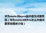 华为mate30epro能升级为鸿蒙系统（华为mate30EPro怎么升级鸿蒙系统相关介绍）