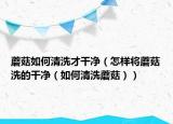 蘑菇如何清洗才干净（怎样将蘑菇洗的干净（如何清洗蘑菇））