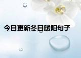 今日更新冬日暖阳句子