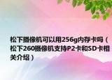 松下摄像机可以用256g内存卡吗（松下260摄像机支持P2卡和SD卡相关介绍）