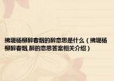 拂堤杨柳醉春烟的醉意思是什么（拂堤杨柳醉春烟,醉的意思答案相关介绍）