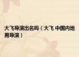 大飞导演出名吗（大飞 中国内地男导演）