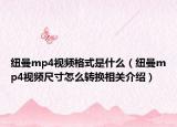 纽曼mp4视频格式是什么（纽曼mp4视频尺寸怎么转换相关介绍）