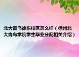 北大青鸟徐东校区怎么样（徐州北大青鸟学院学生毕业分配相关介绍）